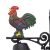 1687841421-bd-rooster-2.jpeg