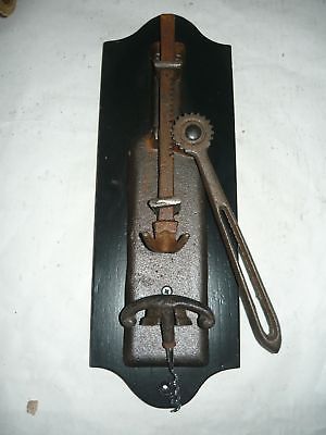 Gancio da parete in ghisa, stile vintage, doppio, decorativo